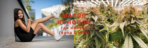 дурь Новодвинск
