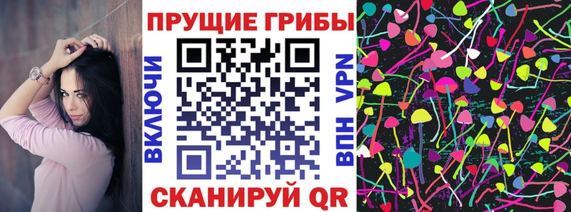 блэк спрут зеркало купить цена Петровск-Забайкальский Псилоцибиновые грибы прущие грибы